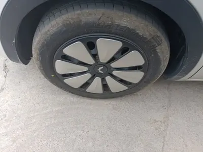 Wuling Bingo