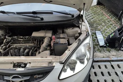 Haima Qubit