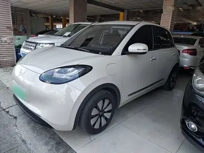 Wuling Bingo