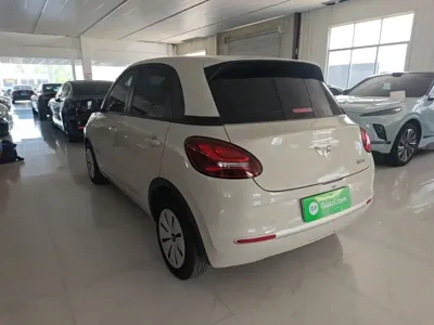 Wuling Bingo
