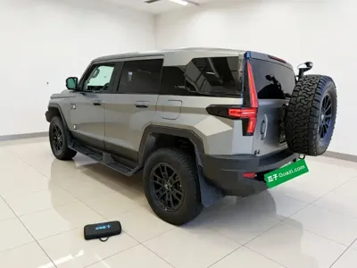 Mengshi Mengshi 917