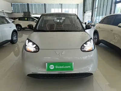Wuling Bingo