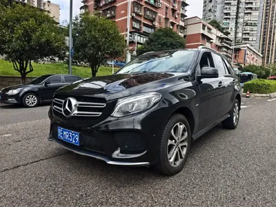 Mercedes-Benz 奔驰GLE(进口)