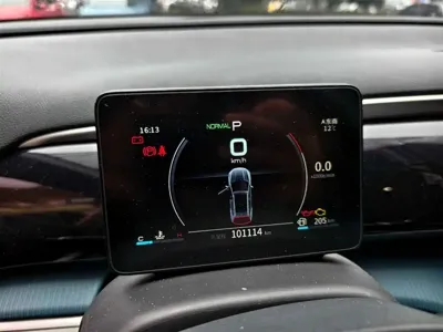 BYD Pro