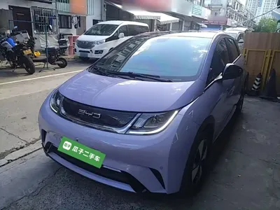 BYD Dolphin