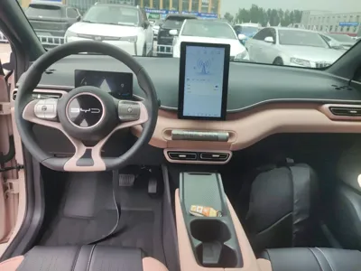 BYD Seagull