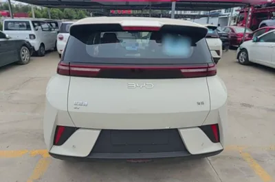 BYD Seagull