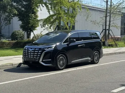 Denza Denza D9