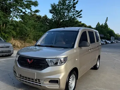 Wuling Hongguang V