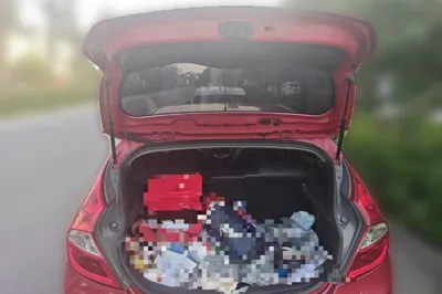 Hyundai Verna Ray