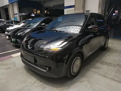 Wuling Bingo