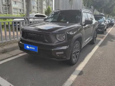 Haval 哈弗大狗 PLUS 新能源