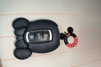 Geely Galaxy Panda