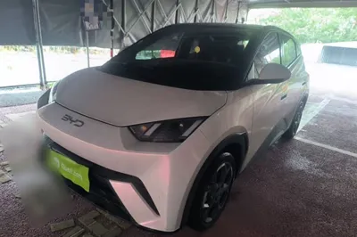 BYD Seagull
