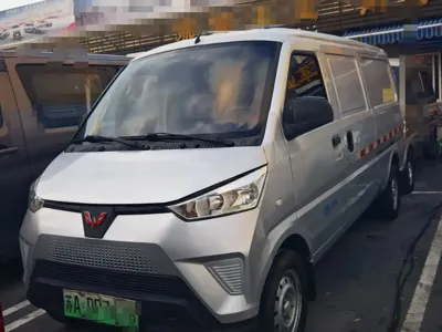 Wuling Wuling EV50