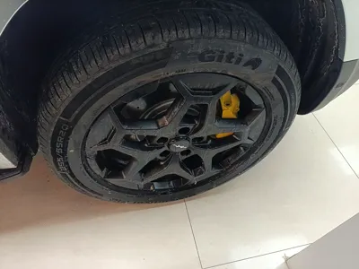 Formula Leopard Tai 7