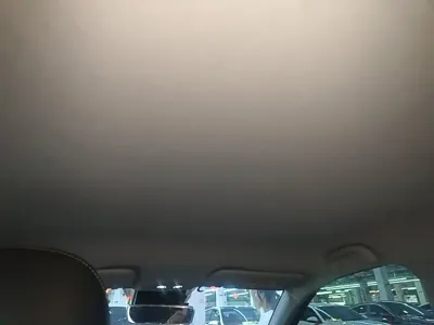 NETA Neta V