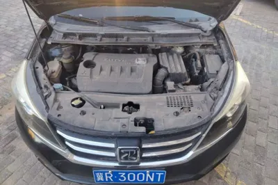 Zotye Z300