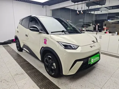 BYD Seagull