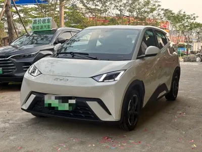 BYD Seagull