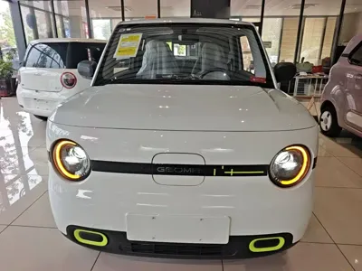 Galaxy Panda