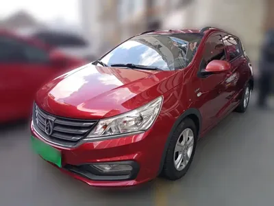 Baojun 310