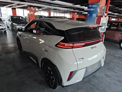 BYD Seagull