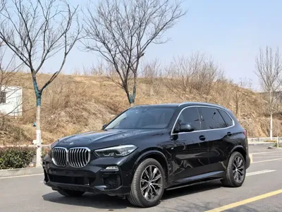 BMW X5 (Import)