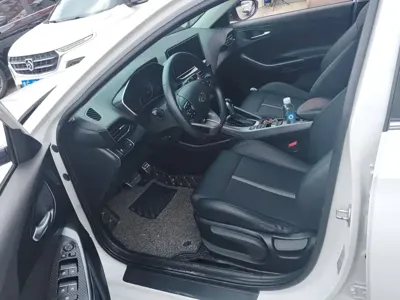 Hyundai Fista