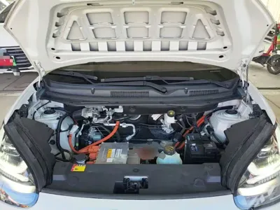 Wuling Bingo
