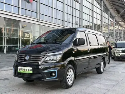 Fengxing Lingzhi New Energy