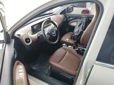 Wuling Bingo
