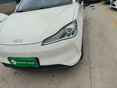 NETA V