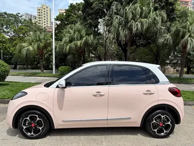 Wuling Bingo