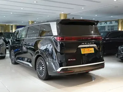 Denza Denza D9