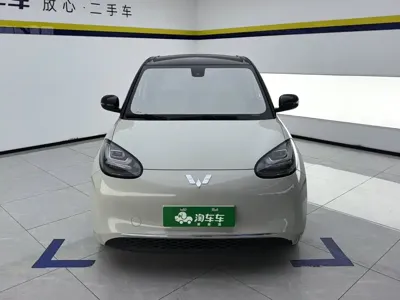 Wuling Bingo