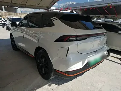 Fengxing Fengxing Leiting