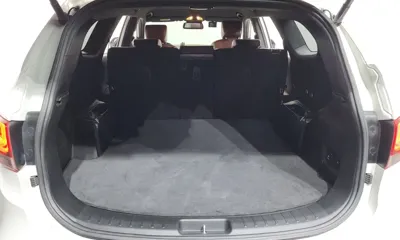 Hyundai Maxcruz