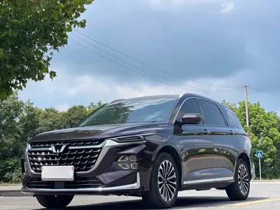 Wuling Victory