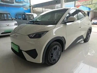 BYD Seagull
