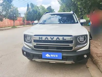 Haval Big Dog