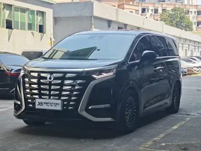 Denza Denza D9