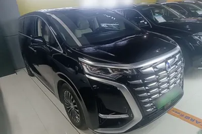 Denza D9