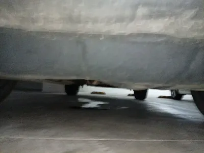 BYD PLUS