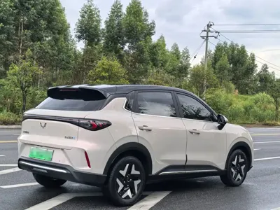 Wuling 缤果S
