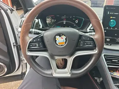 BYD PLUS