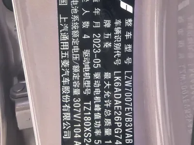 Wuling Bingo