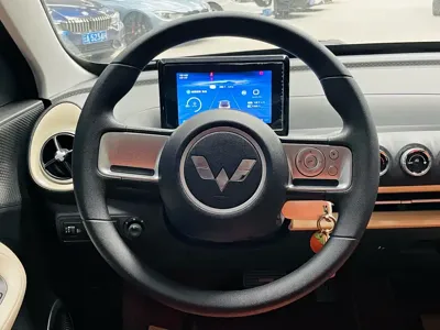 Wuling Bingo