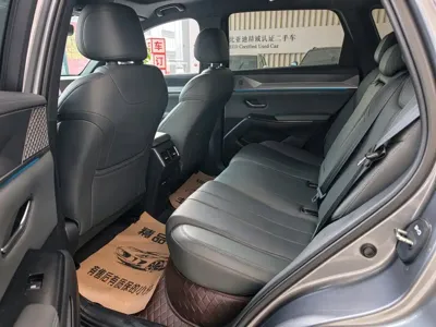 BYD Pro New Energy