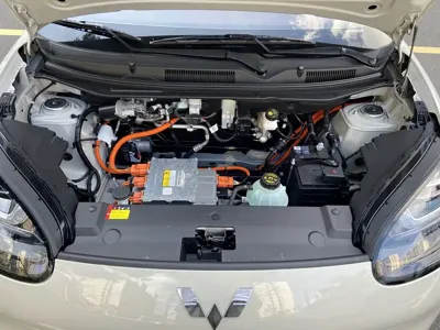 Wuling Bingo